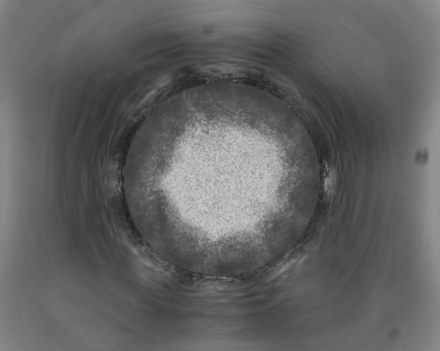 X0000091980819200709271425