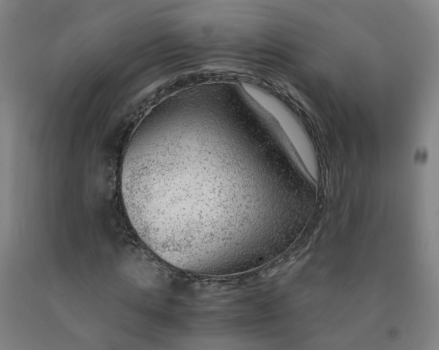 X0000091980821200709271425
