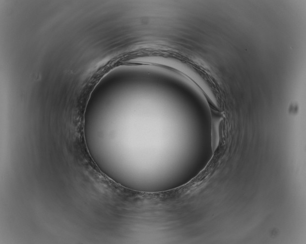 X0000091980822200709271425