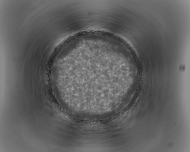 X0000091980823200709271425