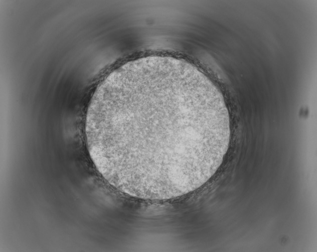 X0000091980824200709271425