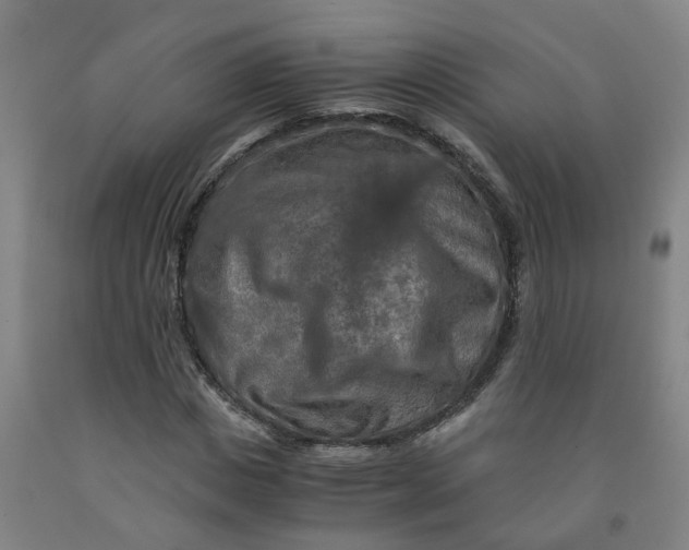 X0000091980825200709271425