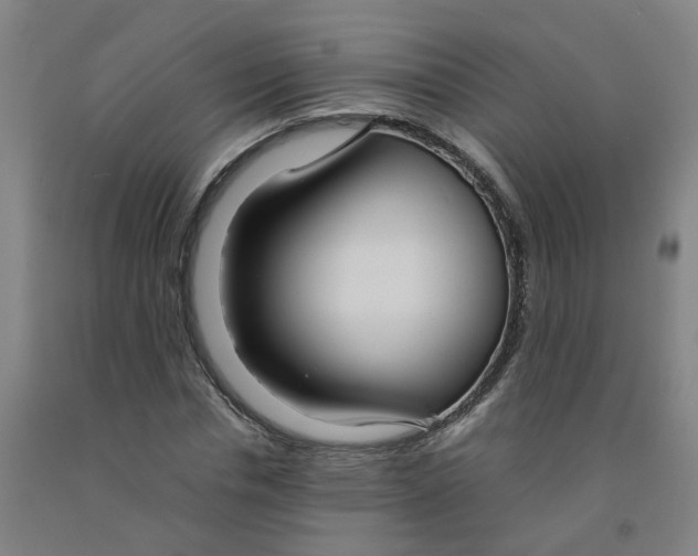 X0000091980826200709271425