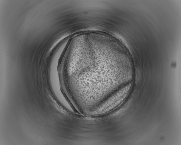 X0000091980827200709271425