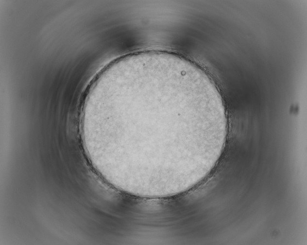 X0000091980828200709271425