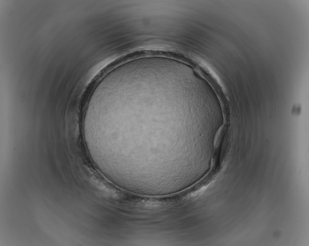 X0000091980829200709271425