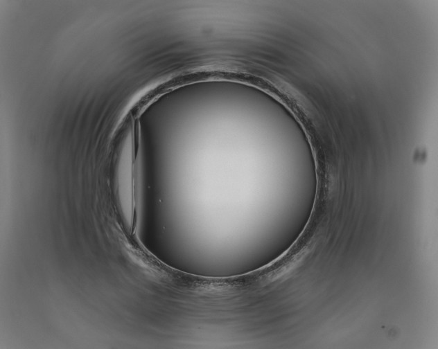 X0000091980830200709271425