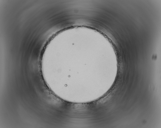 X0000091980832200709271425