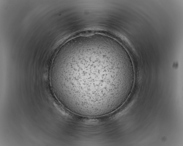 X0000091980833200709271425