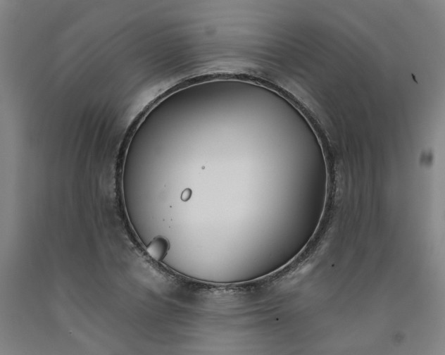 X0000091980834200709271425