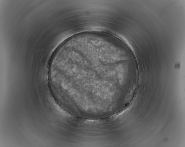 X0000091980835200709271425