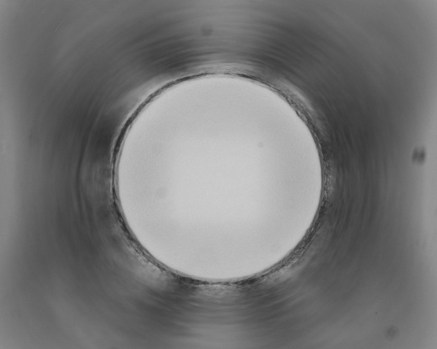 X0000091980836200709271425