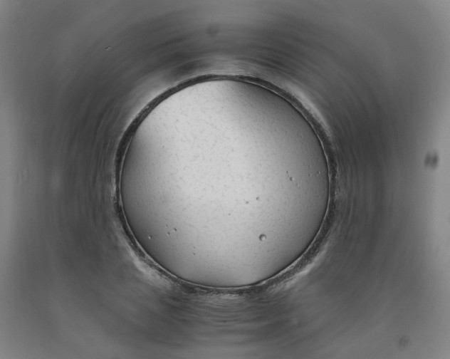 X0000091980837200709271425