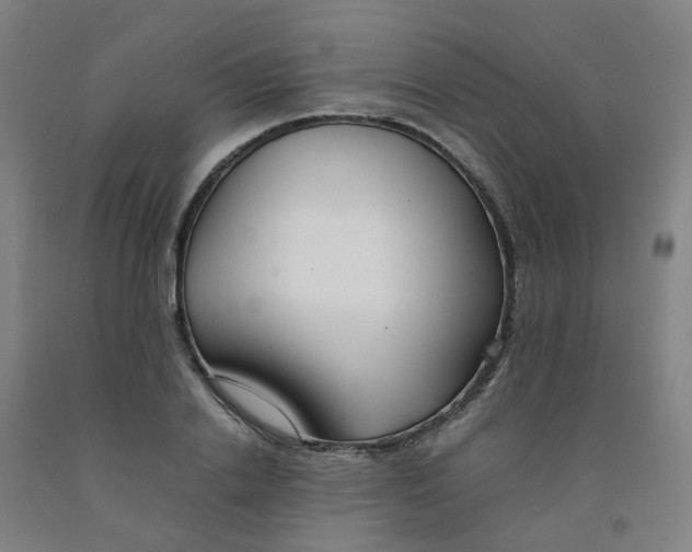 X0000091980838200709271425