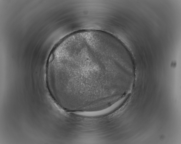 X0000091980840200709271425