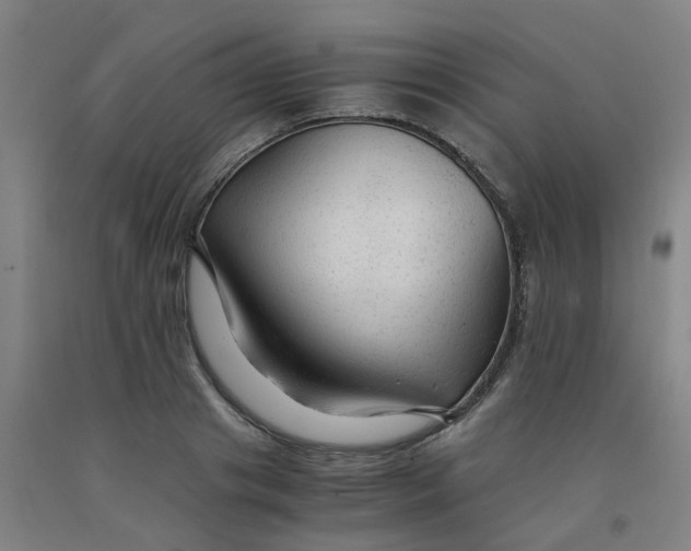 X0000091980841200709271425