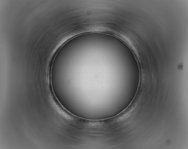 X0000091980843200709271425