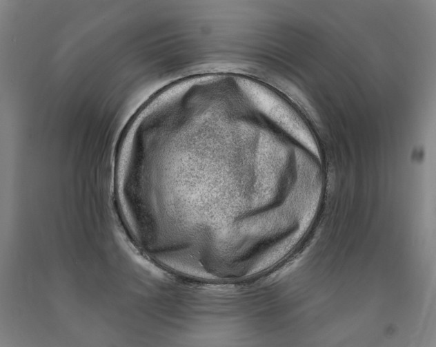 X0000091980844200709271425