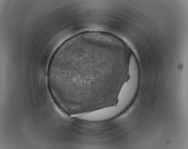 X0000091980845200709271425