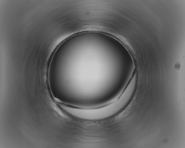 X0000091980846200709271425