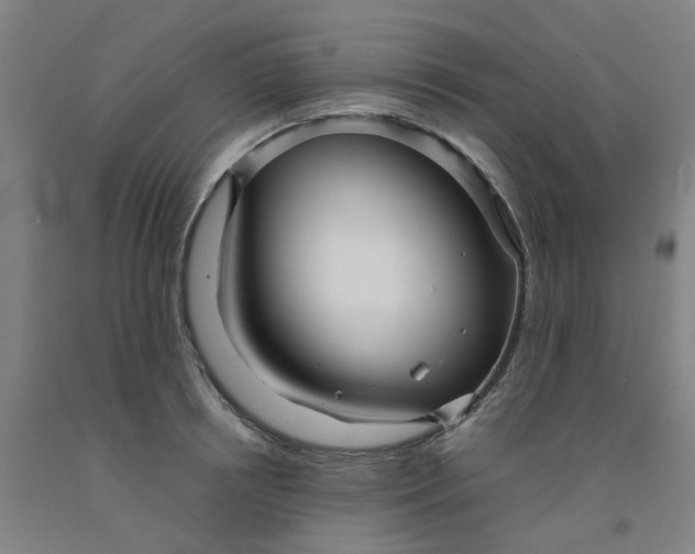 X0000091980850200709271425