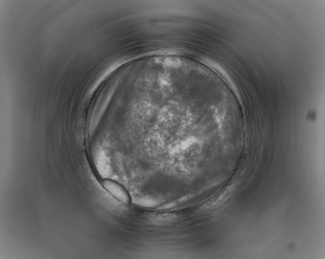 X0000091980851200709271425