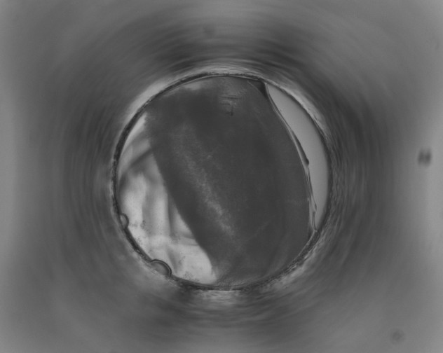 X0000091980853200709271425