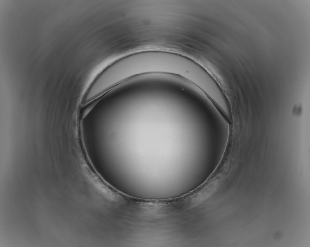 X0000091980854200709271425