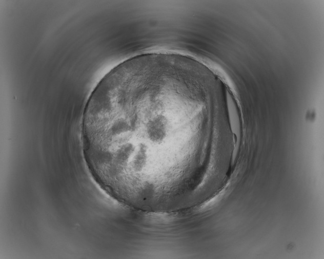 X0000091980855200709271425