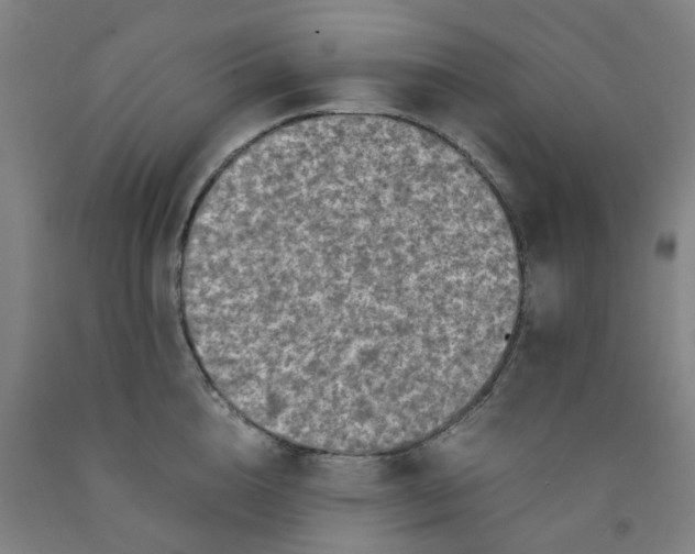 X0000091980856200709271425