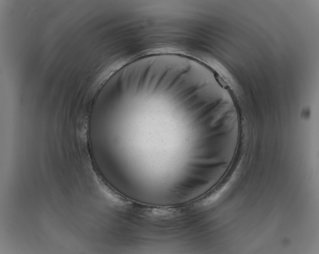 X0000091980857200709271425