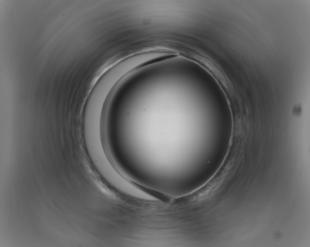 X0000091980858200709271425