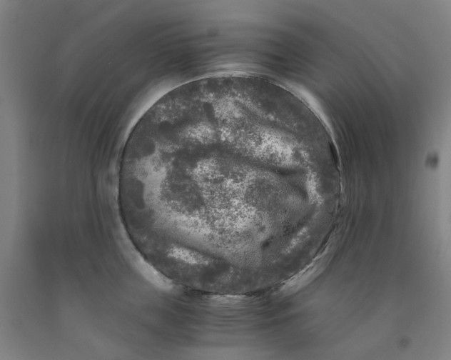 X0000091980859200709271425