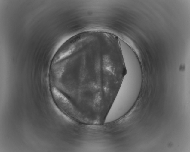 X0000091980863200709271425