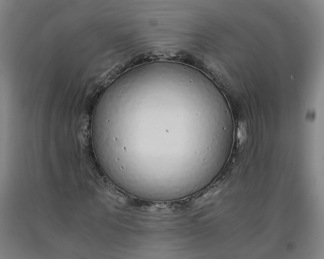 X0000091980867200709271425