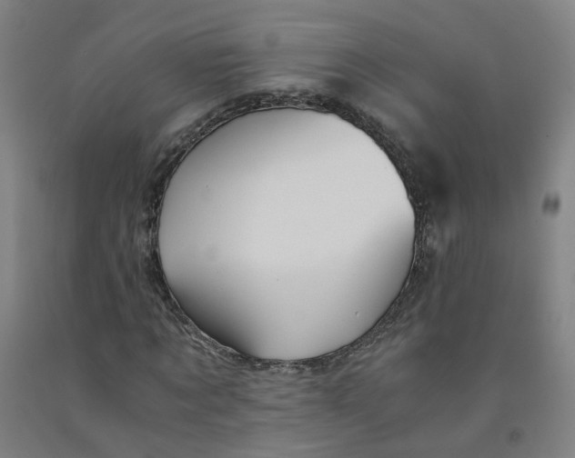 X0000091980869200709271425