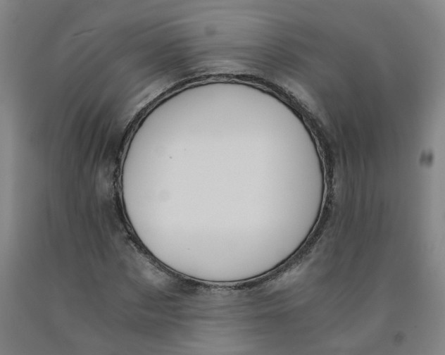 X0000091980873200709271425