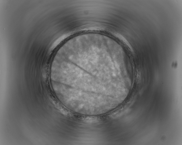 X0000091980874200709271425