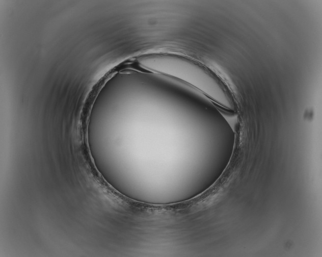 X0000091980876200709271425