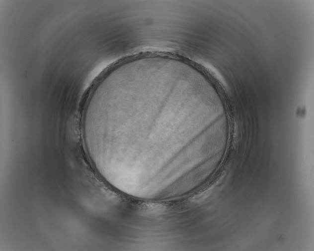 X0000091980878200709271425