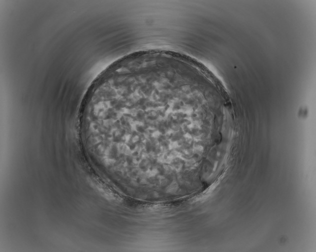 X0000091980879200709271425