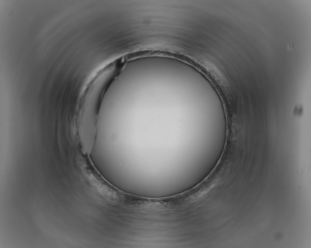 X0000091980880200709271425