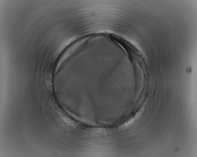 X0000091980881200709271425