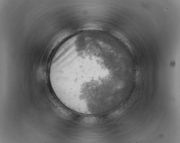 X0000091980882200709271425