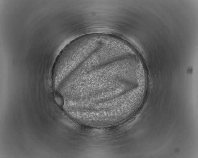 X0000091980883200709271425