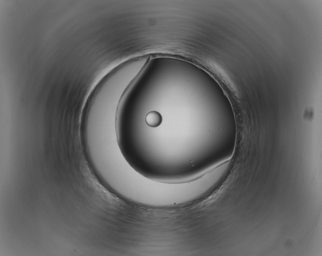 X0000091980884200709271425