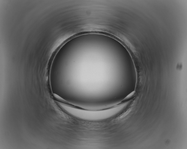 X0000091980885200709271425