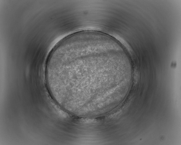 X0000091980886200709271425