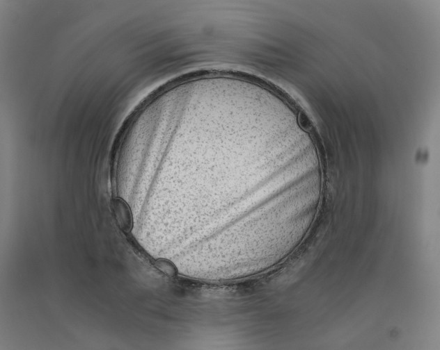 X0000091980887200709271425