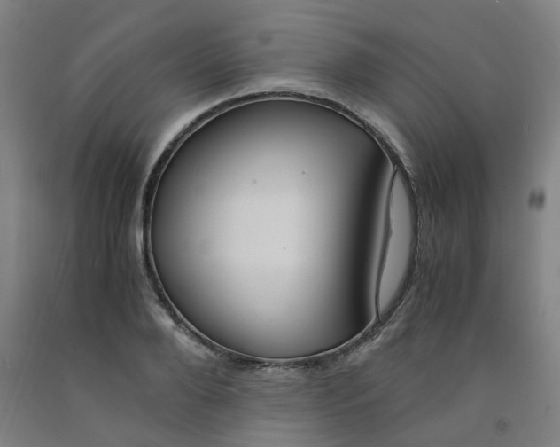 X0000091980888200709271425